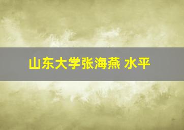 山东大学张海燕 水平